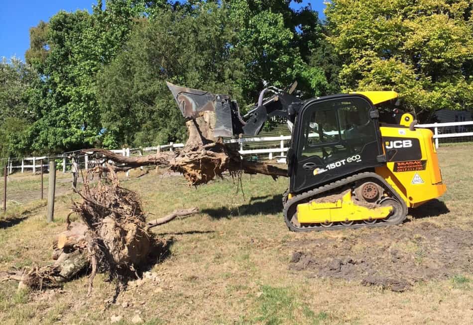 Tree Stump Removal Berwick Mornington Peninsula